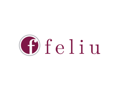 FELIU N&I, S.L.
